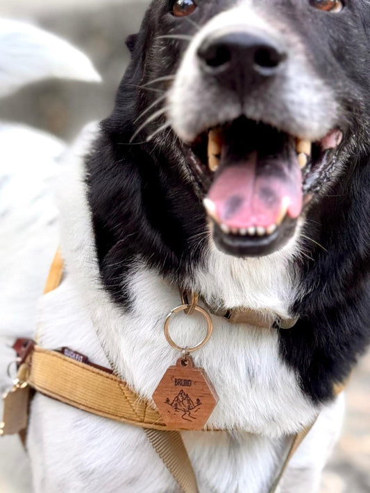 Pet Tag (Hexagon) | Personalized Engraving | Teak / Maple wood