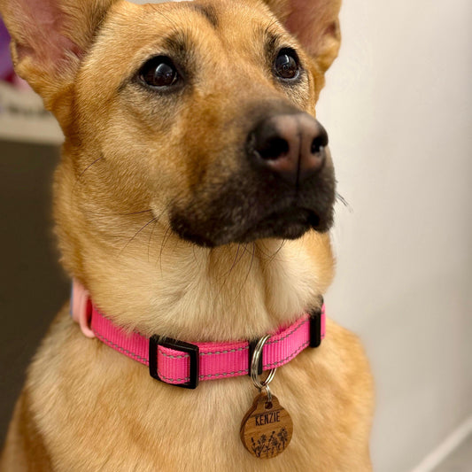 Pet Tag (Round) | Personalized Engraving | Teak / Maple wood